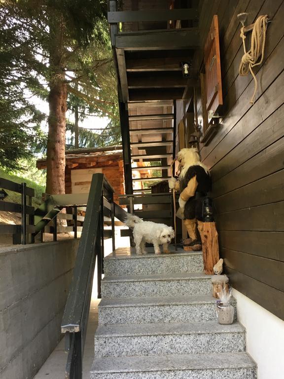 Chalet Ariane ناترز المظهر الخارجي الصورة