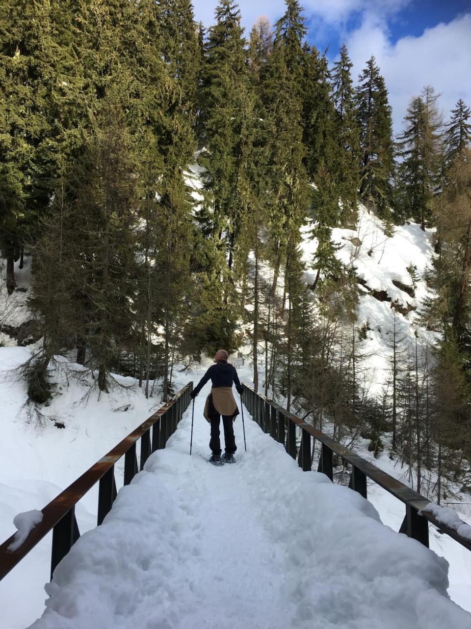 Chalet Ariane ناترز المظهر الخارجي الصورة